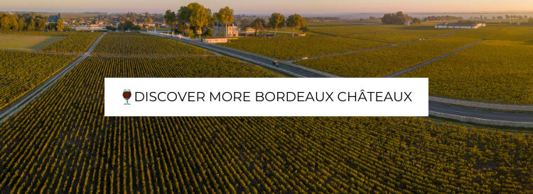 chateaux margaux visit