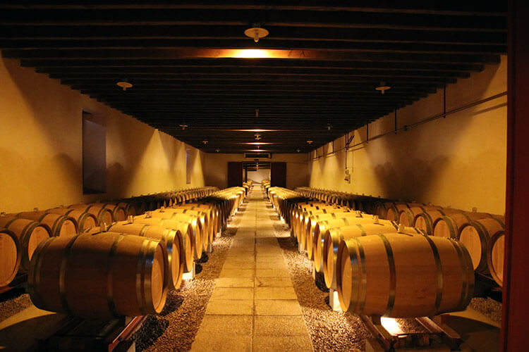 Looking down just half of the 110 meter long barrel room at Chateau Coutet Barsac