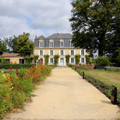 5 Best Sauternes Châteaux to Visit