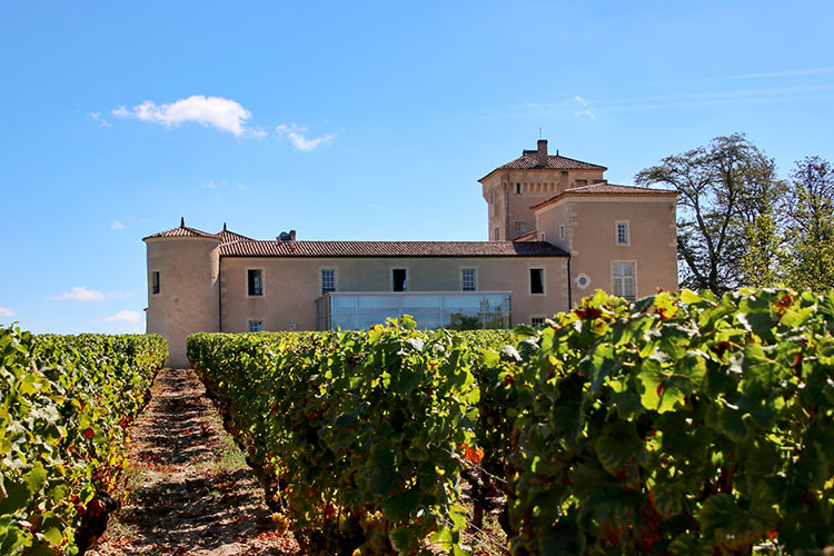 The chateau seen through the vines from the vineyard at Chateau Lafaurie Peyraguey in Sauternes