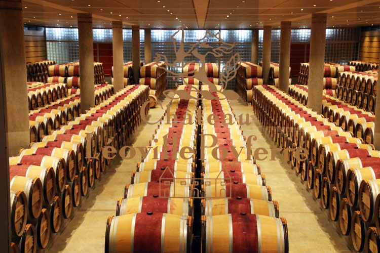 The barrel room at Château Léoville-Poyferré with many rows of oak barrels painted with the red center as often typical in Bordeaux