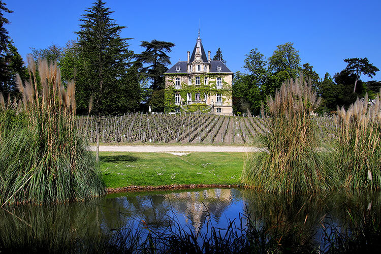 The 19th century mansion covered in vines sitting at the end of one of the plots of grape vines at Chateau Les Carmes Haut-Brion