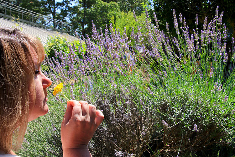 Jennifer smells some yellow flowers in the scent garden at Château de Reignac