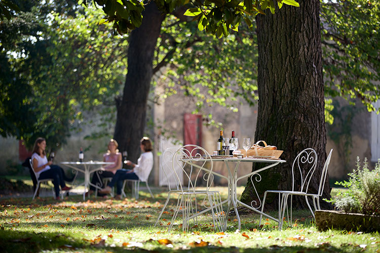 A table is set with the picnicwith wine and local fruits and products in the shade under the magnolia trees at Château de Cérons