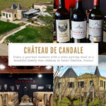 Chateau de Candale, Saint-Emilion, Bordeaux Wine Region, France Pinterest Pin