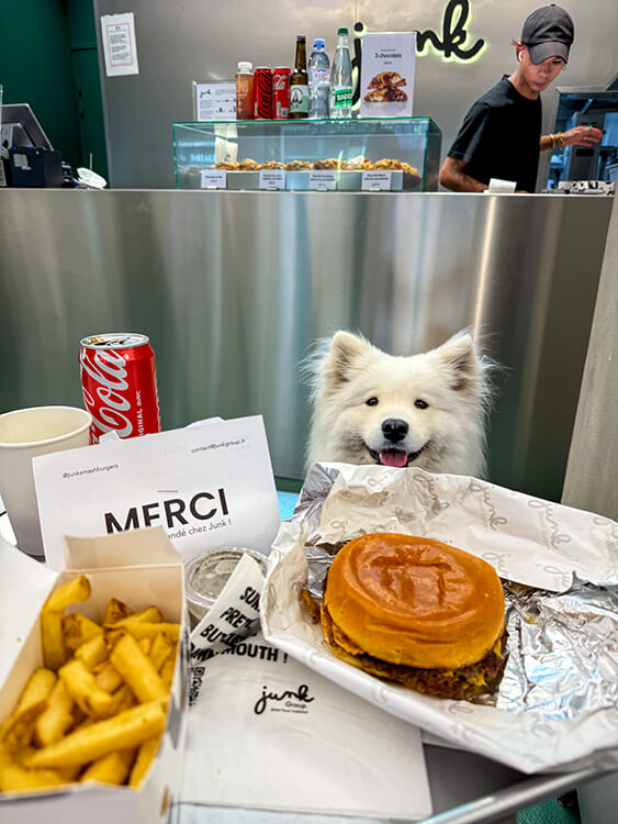 The M truffle smash and a side of fries at Junk Smash Burgers 