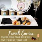 Domaine Caviar de Neuvic Pinterest Pin