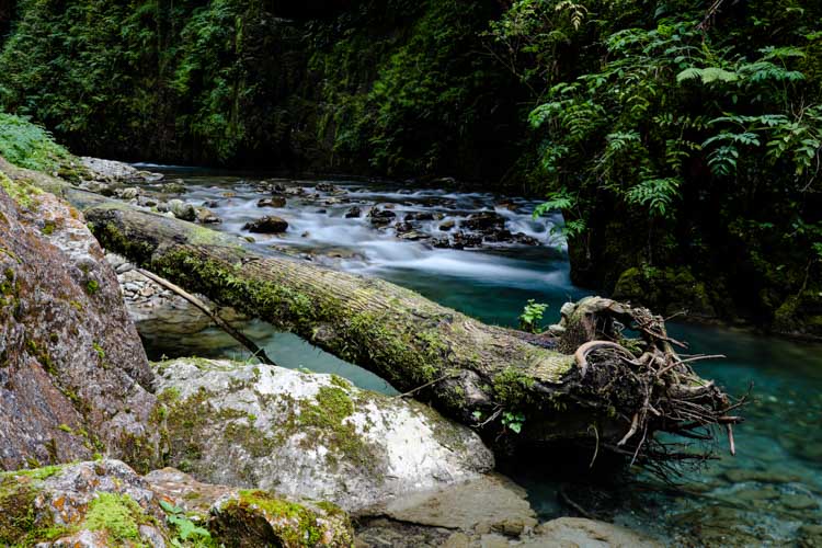 A cairn dotted stream flows from inside the Gorges de Kakuetta