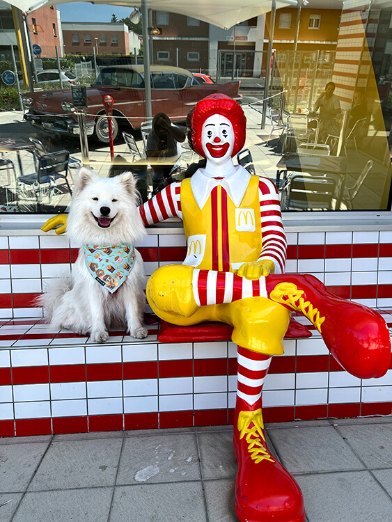 Coco sits next to Ronald McDonald on one of two outdoor terraces at McDonald's V-O