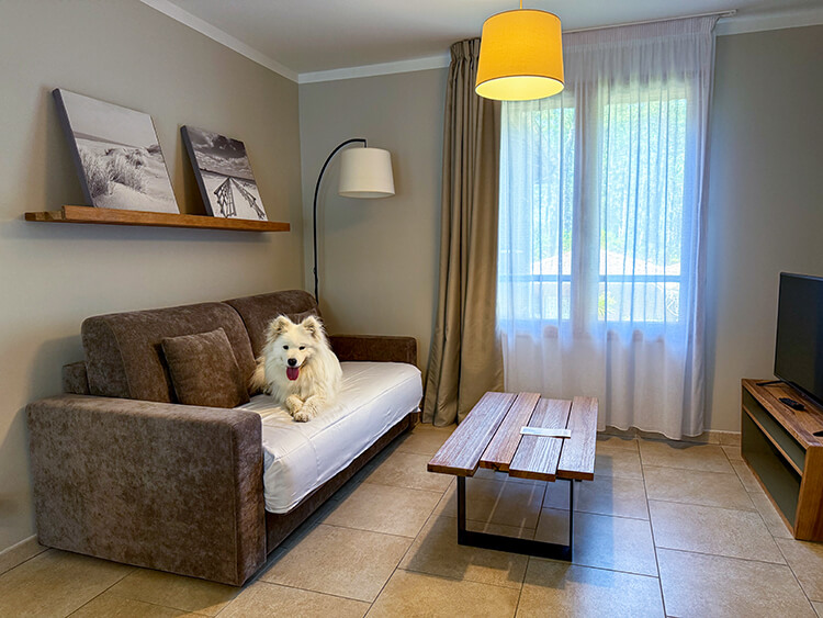 Coco lounges on the sofa in the living room of our Superior Lodge 1 Bedroom at Domaine du Ferret in Claouey, Lège-Cap-Ferret, France