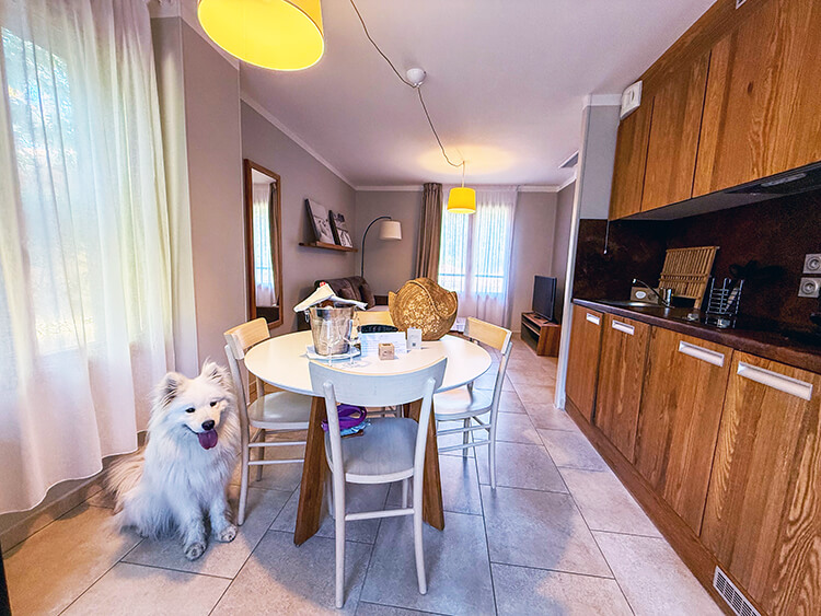 Coco sits next to the dining table in the kitchenette at Domaine du Ferret in Claouey, Lège-Cap-Ferret, France
