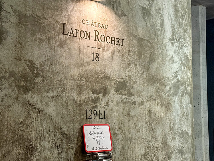 The 2025 harvest is in fermentation in concrete vats at Château Lafon-Rochet