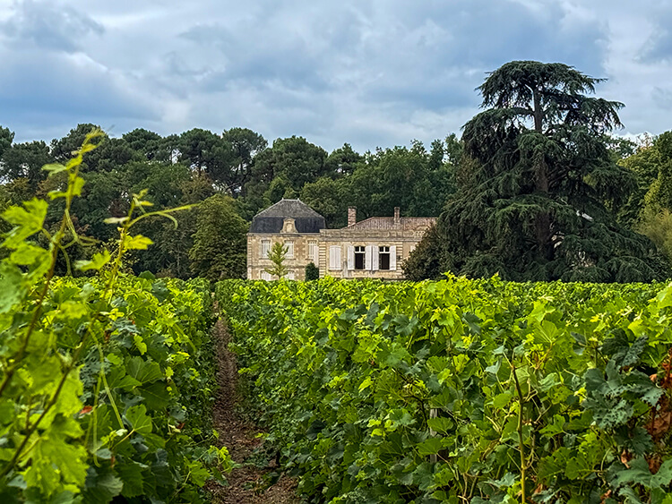 The castle of Château Picque Caillou peeks through the vines