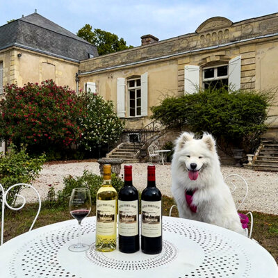 Château Picque Caillou: One of the Last Bordeaux Urban Vineyards