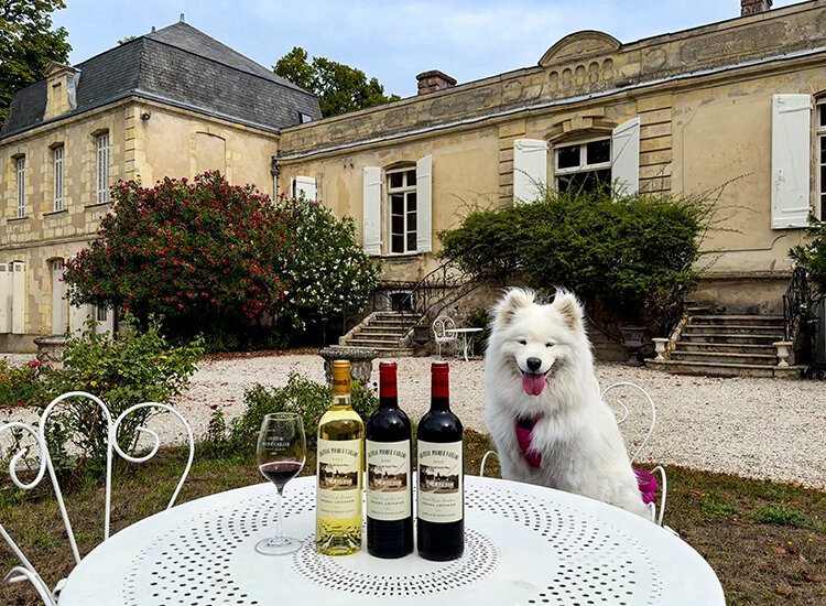 Coco sits at a table in the garden of Château Picque Caillou with 3 wines for the wine tasting